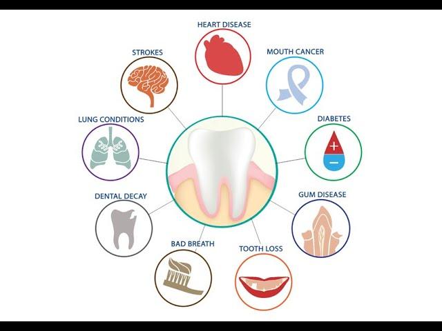 What is the Oral systemic connection?