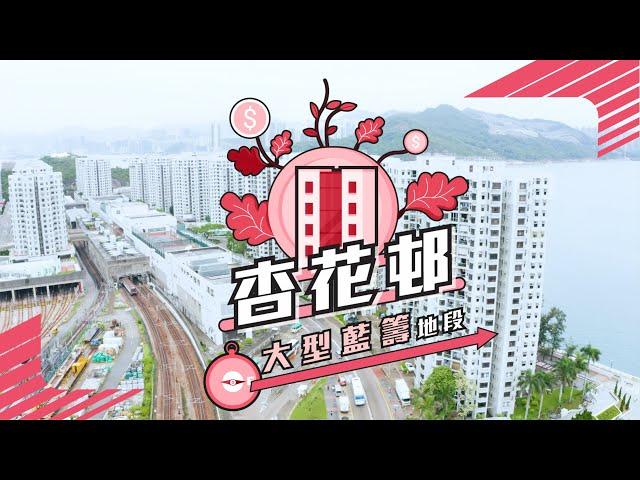 【杏花邨】 港鐵住宅項目 大型藍籌地段