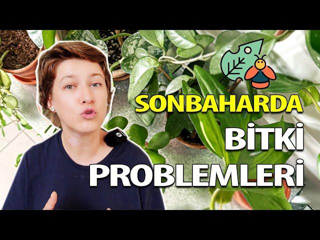 Sonbaharda Bitki Problemleri ve Çözümleri | Bitki Bakımı İpuçları