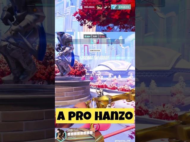 When You Are A Pro Hanzo 
