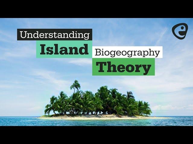 What is Island Biogeography Theory?