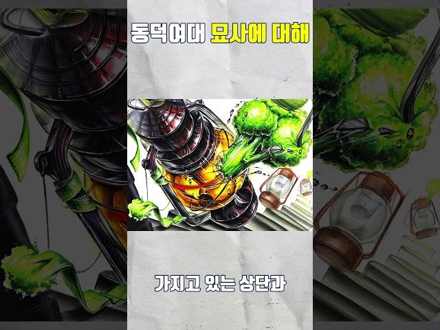 동덕여대 합격작 리뷰2 #2025학년도 #동덕여대 #합격비결 #입시요강