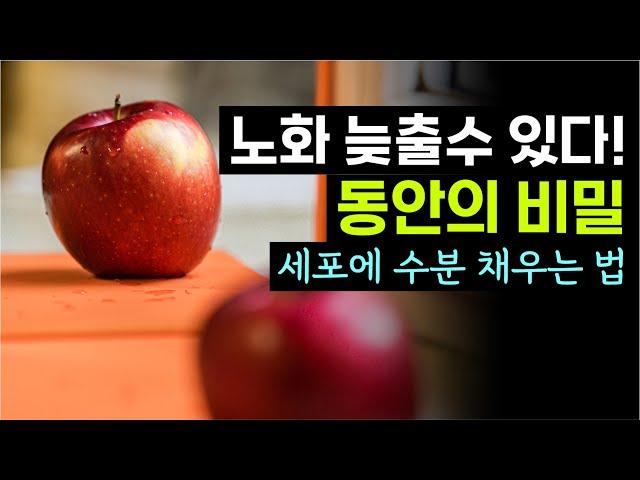 노화는 세포건조가 원인이다 | 세포에 수분을 채워라! 10년 어려보이는 피부 젊고 건강한 몸과 뇌를 유지한다