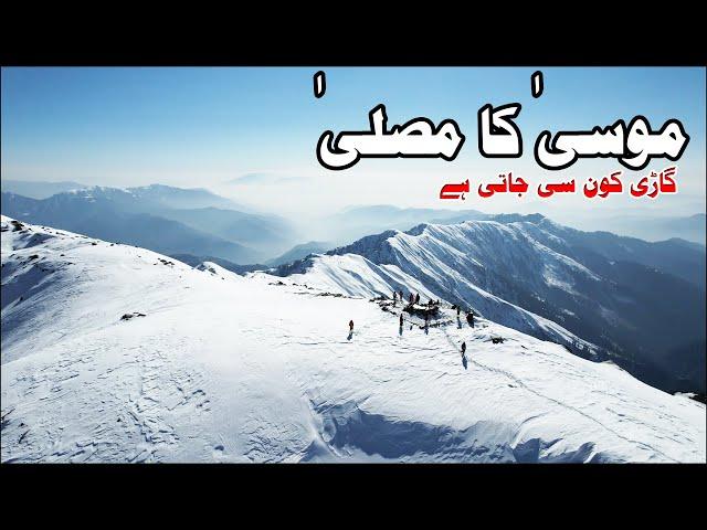 Musa Ka Musala | MKM Summit | Highest Peak | Travel Guide | Kpk | Travel Tips | Pakistan