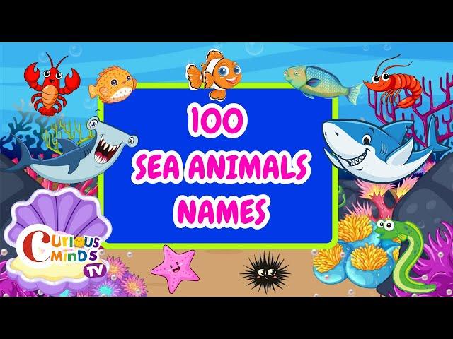 100 Sea Animals Names | Learning Sea Animals | Educational Videos for Kids 