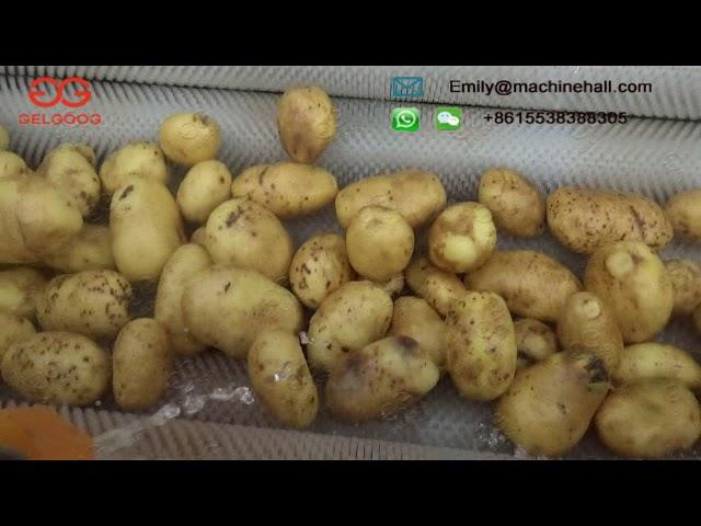 Brush Type Potato Washing and Peeling Machine/Vegetable and Fruit Washer and Peeler