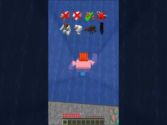 PLS DON'T CHECK THE SOUND!!