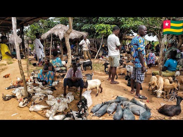 Rural village market day in Togo west Africa.  Cost of organic food in my African village.