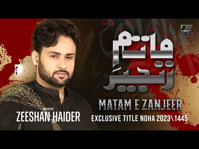 Matam e Zanjeer | Zeeshan Haider | New Nohay 2023 / Murarram 1445ھ