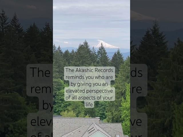 The Akashic Records give you an elevated perspective of all aspects of your life.