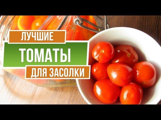 Лучшие Томаты для засолки ️ Помидоры для засолки 