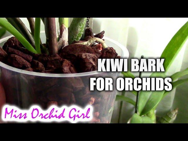 Kiwi bark for Orchids - product review