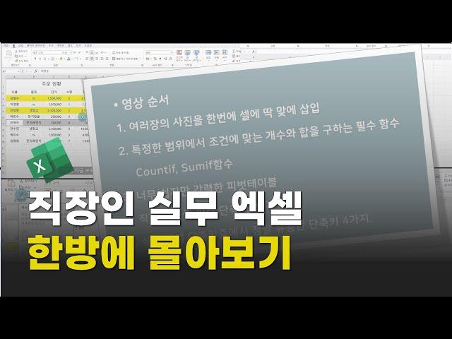 직장인 실무 엑셀 한방에 몰아보기/셀에 사진 삽입/Countif, Sumif/피벗테이블/직작인 필수 단축키