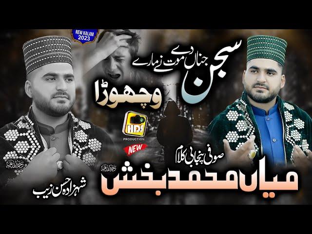 Sajan Jina De Mot Ne Mare - Shahzada Hassan Zaib - New Super Hit Kalam Mian Muhammad Baksh Part 1