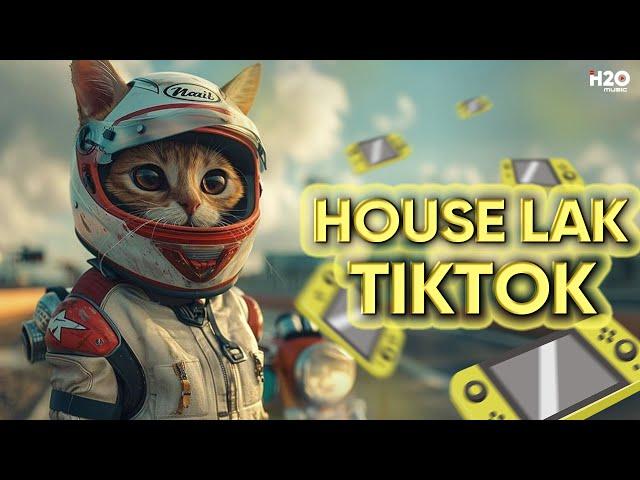 HOUSE LAK TIKTOKNHẠC REMIX TIKTOK 2024MIXTAPE DEEP HOUSE, VIET DEEP, HOUSE LAK