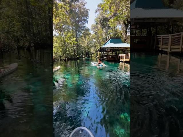 If you haven’t gone clear kayaking at Silver Springs this is your sign! Join us on a Eco-Tour!