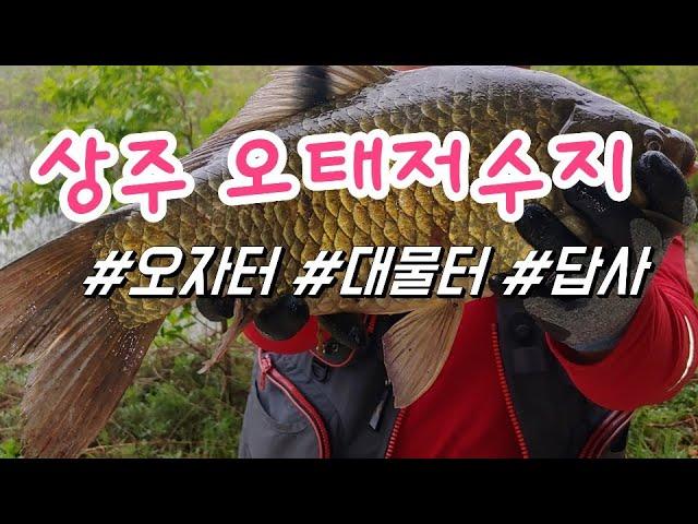 상주 대형저수지 한방터 오태저수지 / 시기와 여건만 좋으면 4자가 마릿수 / Sangju Otae Reservoir / Korea Fishing