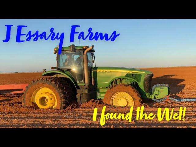 2020 Planting Sorghum Sudangrass Part 1: Tractor stuck in the sand!!