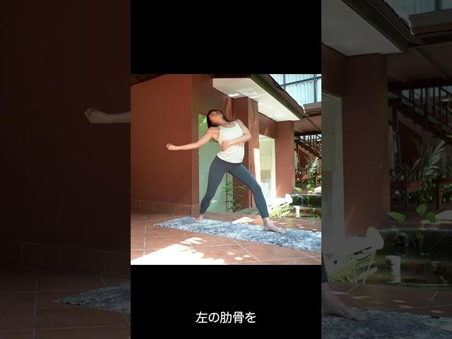 [Morning Yoga BOWSPRING] Easy stretches to refresh your body with morning yoga!