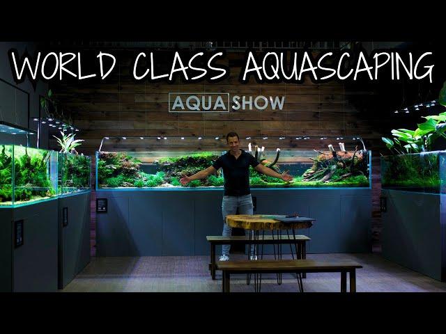 AQUASCAPES MADE BY WORLD CHAMPIONS! Amazing Aquarium Gallery in Poland