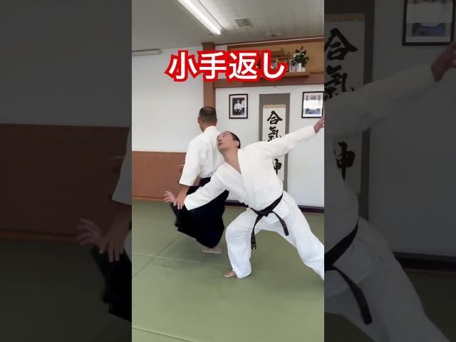 小手返し　#aikido #shortsyoutube