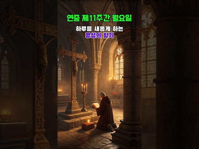 250616 연중 제11주간 월요일. 천주교의정부교구 민족화해센터 #카톨릭 #가톨릭 #천주교 #의정부교구