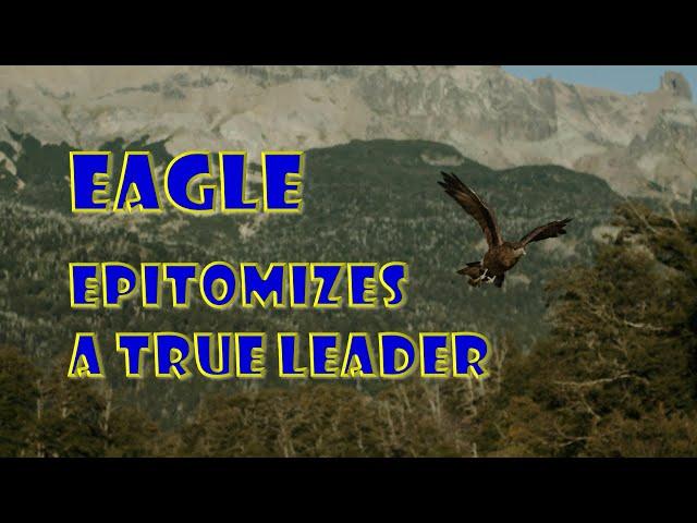 Eagle | Epitomizes A True Leader