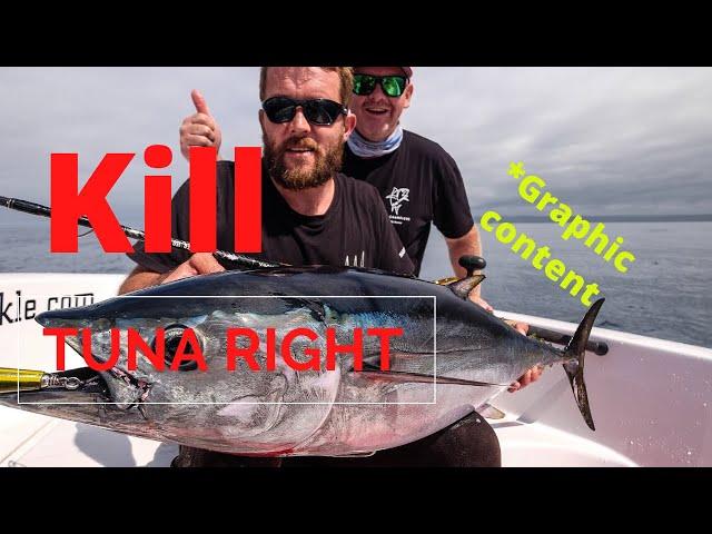 Warning Graphic! How to kill and care for your tuna catch with Iki Jime technique