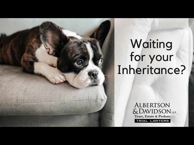 Inheritance Now or Later? Or Never? Outright vs. In Trust: What's the Difference?