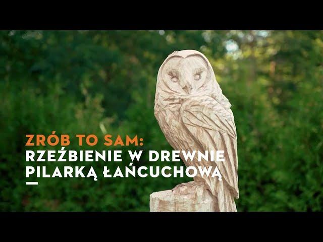 ZRÓB TO SAM:Rzeźbienie sowy z drewna