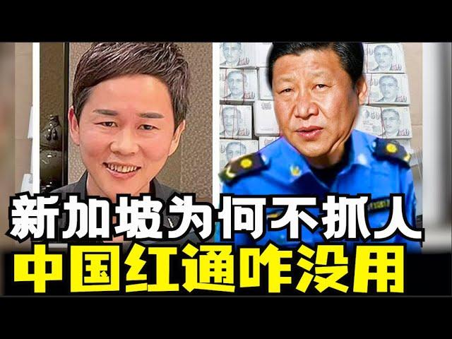 新加坡为何不抓中国嫌犯，中国红通为何没用，红通是什么，新加坡30亿洗钱案犯没有遣返中国，中国新加坡没有引渡条例，中国引渡条例国家有哪些（小木谈天第509期20241210）