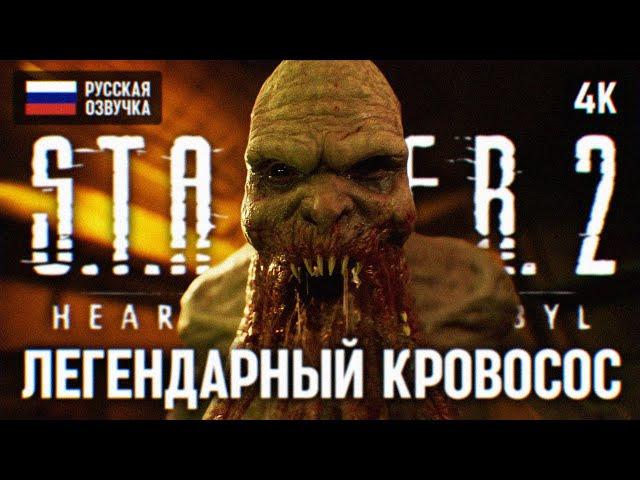 STALKER 2 ПРОХОЖДЕНИЕ НА РУССКОМ #2 [RTX 4090 4К]  СТАЛКЕР 2 ПОЛНОЕ ПРОХОЖДЕНИЕ ОБЗОР ГЕЙМПЛЕЙ