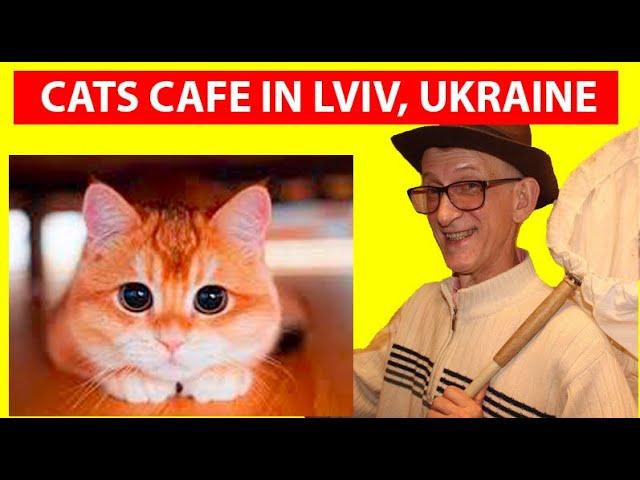 Кошачье Кафе, Кофемания и Очарование Львова. Cats Cafe Lviv, Ukraine. Энтомолог на Выезде во Львове.