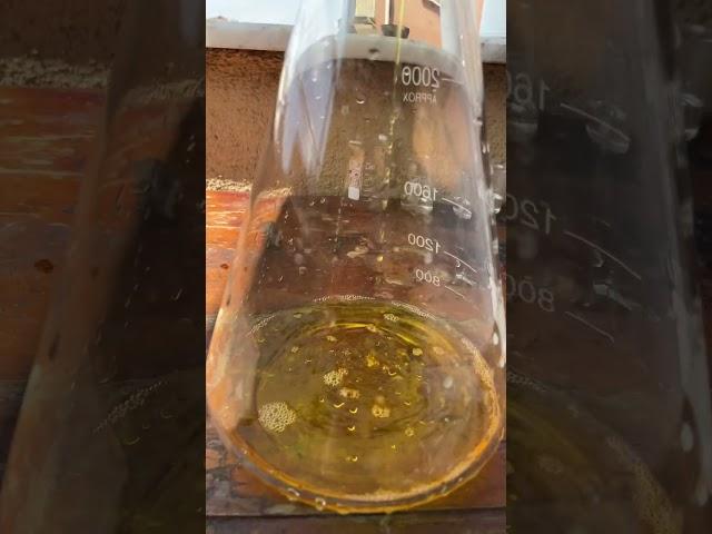 cotton filtering (Gold Recovery)