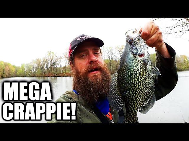 Can a Tiny Swimbait Catch BIG FISH? Best Crappie on Realistic Fishing!