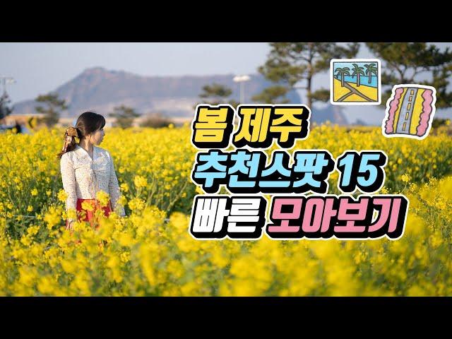 봄 제주 가볼만한 15곳 빠르게 모아보기  (봄꽃스팟 + 봄에 가야 가장 좋은곳)