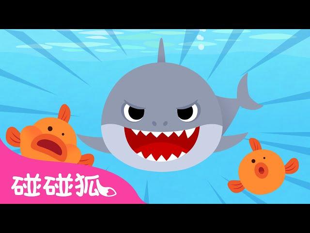 【新歌】 鯊魚 | 認識海洋動物 | 海洋動物兒歌 | 臺灣配音 鯊魚歌 | 兒歌 童謠 | Baby Shark | 碰碰狐 Pinkfong