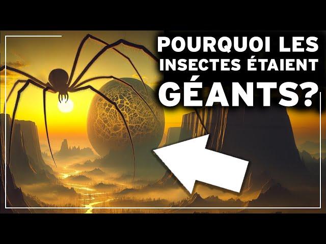 A quoi ressemblait la Terre à l'époque des INSECTES GÉANTS ? Les SECRETS de l'HISTOIRE DE LA TERRE