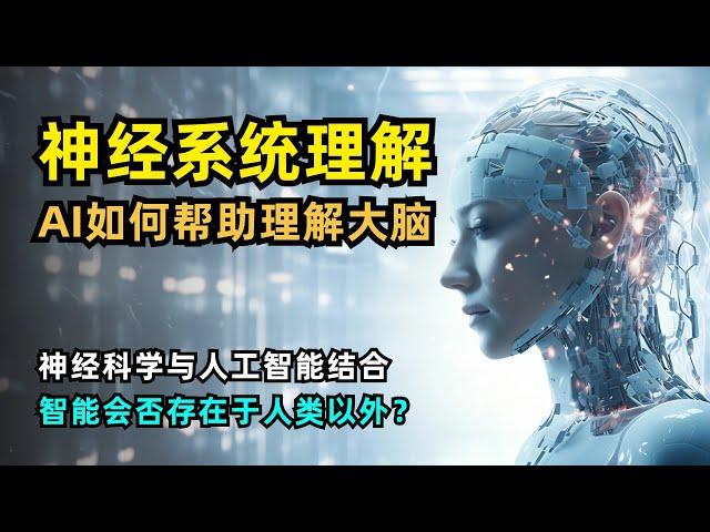 【人工智能】AI如何帮助神经科学理解人类大脑 | 神经系统理解Neural Systems Understanding | 神经网络 | 祖母神经元 | 海马体 | 生态有效实验 | 智能不仅限于人类