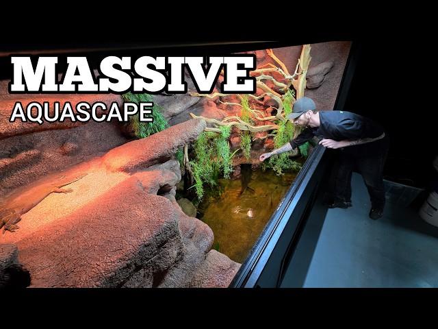 DIY Aquascape For A Paludarium | Naturalistic Reptile & Fish Tank How To