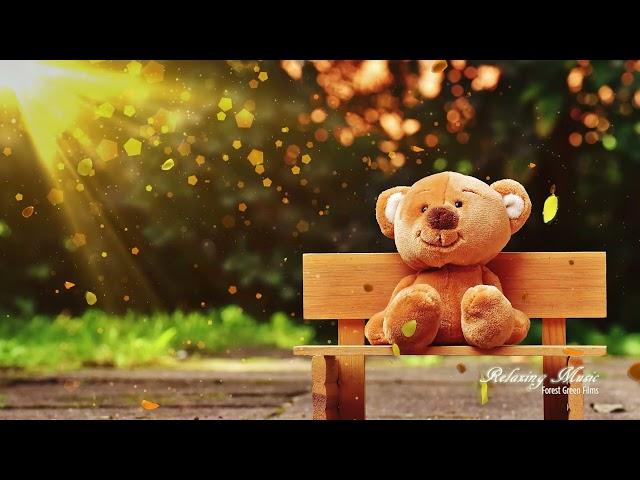 Teddy Bear's Daydream | 4 Hours Relaxing Music, Sleep Music, Study Music, Music for Stress Relief