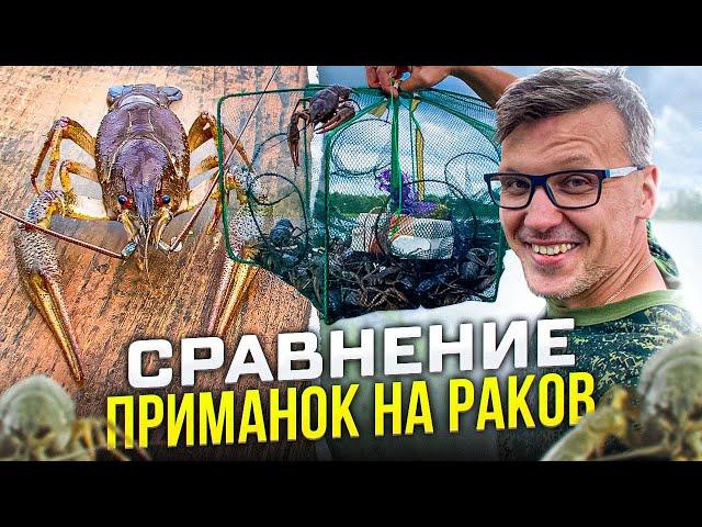 Я В ШОКЕ ОТ РЕЗУЛЬТАТА // сравниваю три приманки для ловли раков