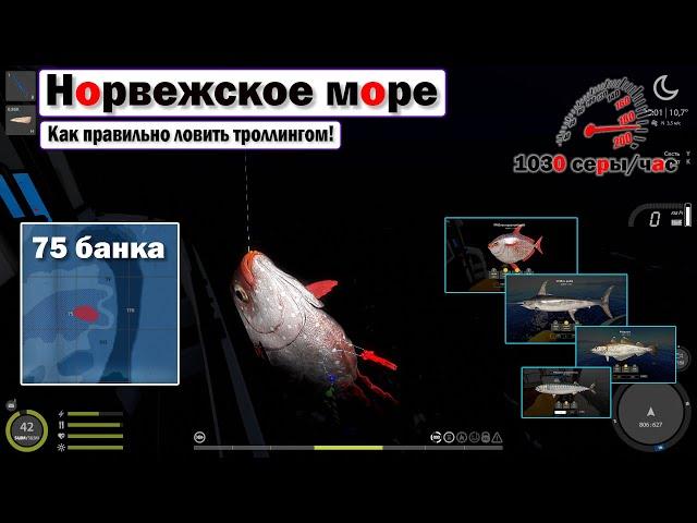 Как правильно троллить на море • Норвежское Море • Русская Рыбалка 4