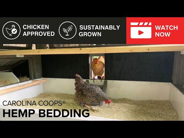 Carolina Coops Hemp Bedding- The Most Absorbent Hemp Bedding on the Market