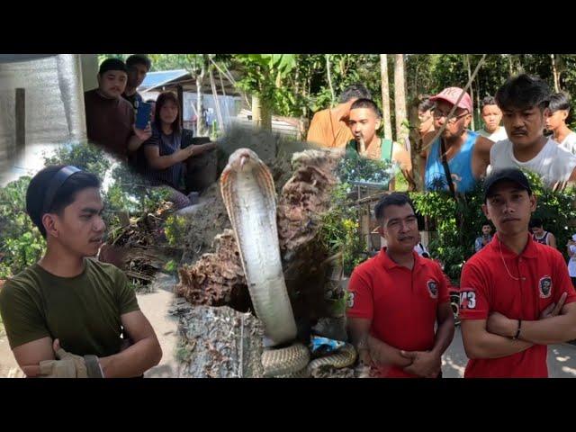 MY NAKAGAT KAYA NAPASUGOD SI COBRA PRINCE