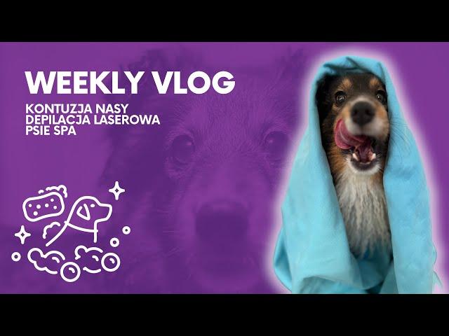 WEEKLY VLOG: KONTUZJA NASY | DEPILACJA LASEROWA | PSIE SPA