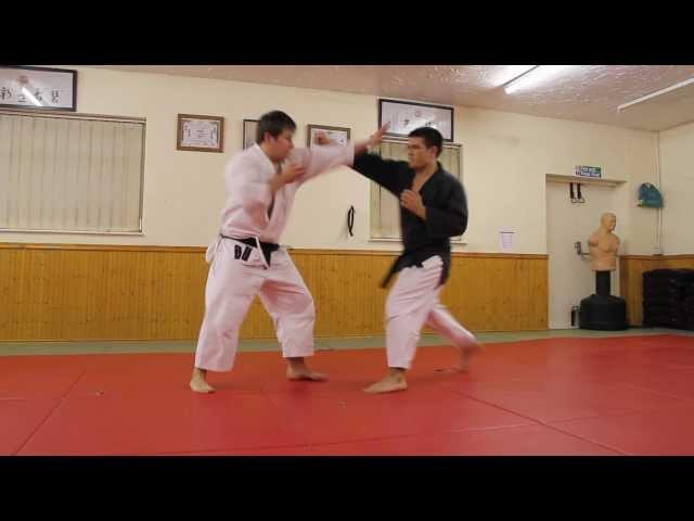 Karate Jutsu - Sneak Peak