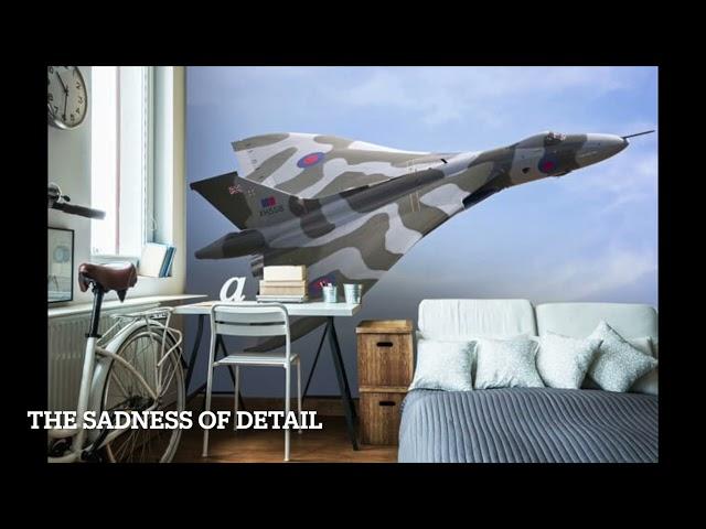 The Sadness of Detail by Jonathan Carroll