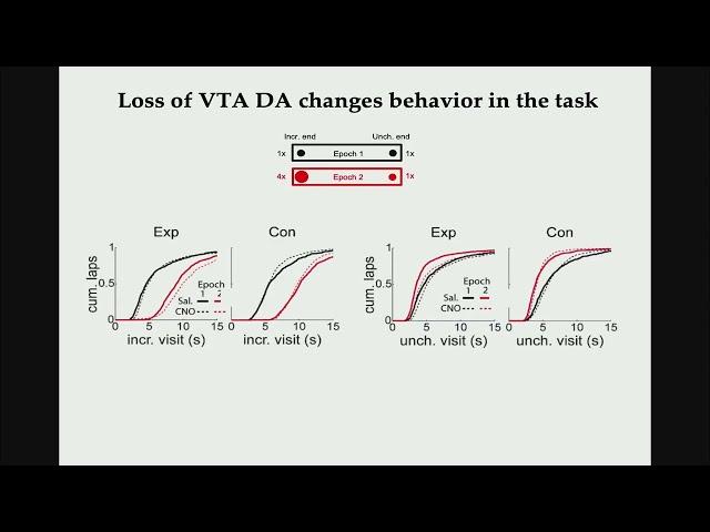 David Foster – Explorations in hippocampal replay