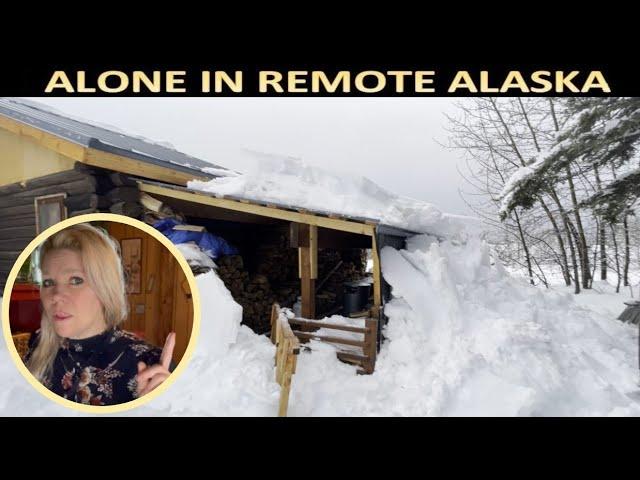 First Ones a Doozie! Major Snowstorm, Rodents & Hunt Update @ Remote Alaska Cabin